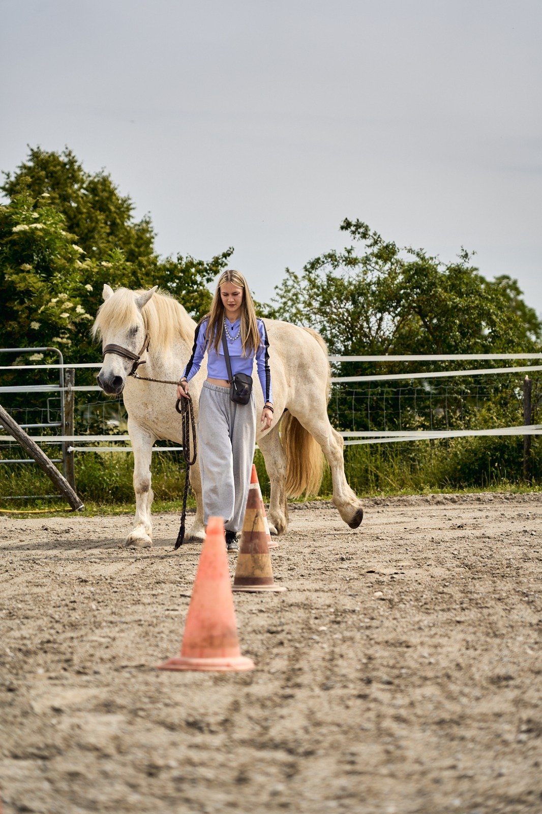 Jeune en interaction avec un cheval dans le cadre du programme Graine d’avenir à Genève